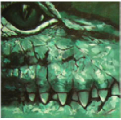 "Croco natural"