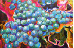 "Vini blue"